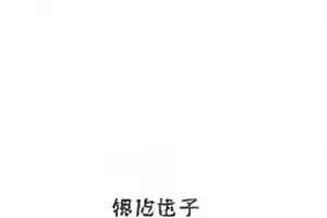 《长街回响》条目封面，长街透视与声音波形