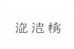 《台账第九页》条目封面，台账第九页的横线表格